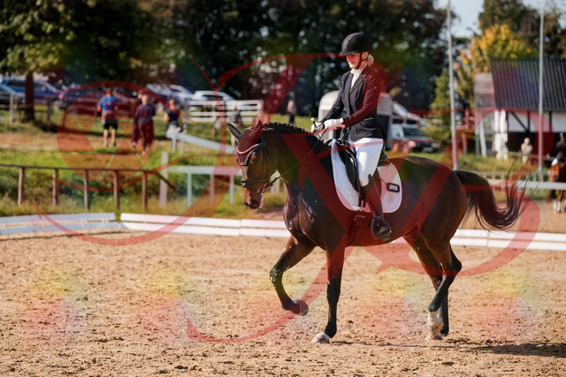 2026_10_03_Siefer-Hof_125544_Z63_62898489 | Professionelle Reitsport-, Turnier- und Eventfotografie von Robert Broda. Galerien mit ausgewählten und bearbeiteten Bildern direkt online ansehen und bestellen.