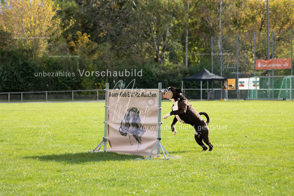 _16A6676 | Einzigartige Fotos von Hunden & Menschen –Actionfotos, Portraits, Vereinsaufnahmen & Paarshootings – authentisch, lebendig & mit Herz.