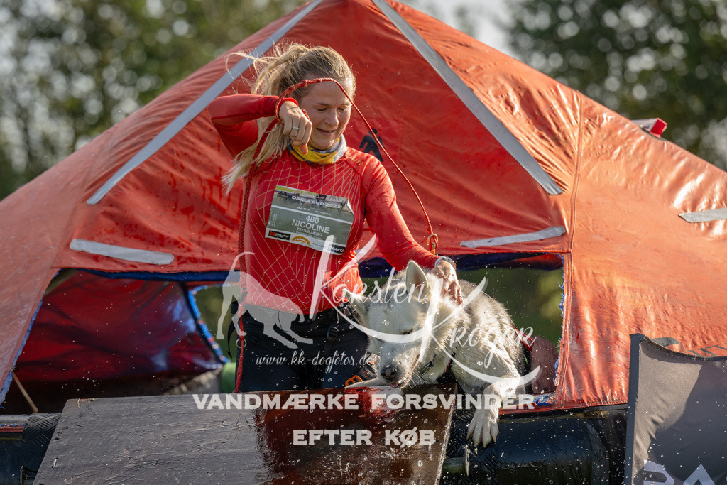 1118-91996 | kk-dogfotos