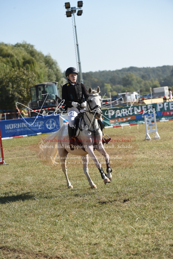 DSC_5870 | Pferde- und Turnierfotografie in Westsachsen. Pferdeportraits, Auftragszeichnungen und intuitive Kunst.