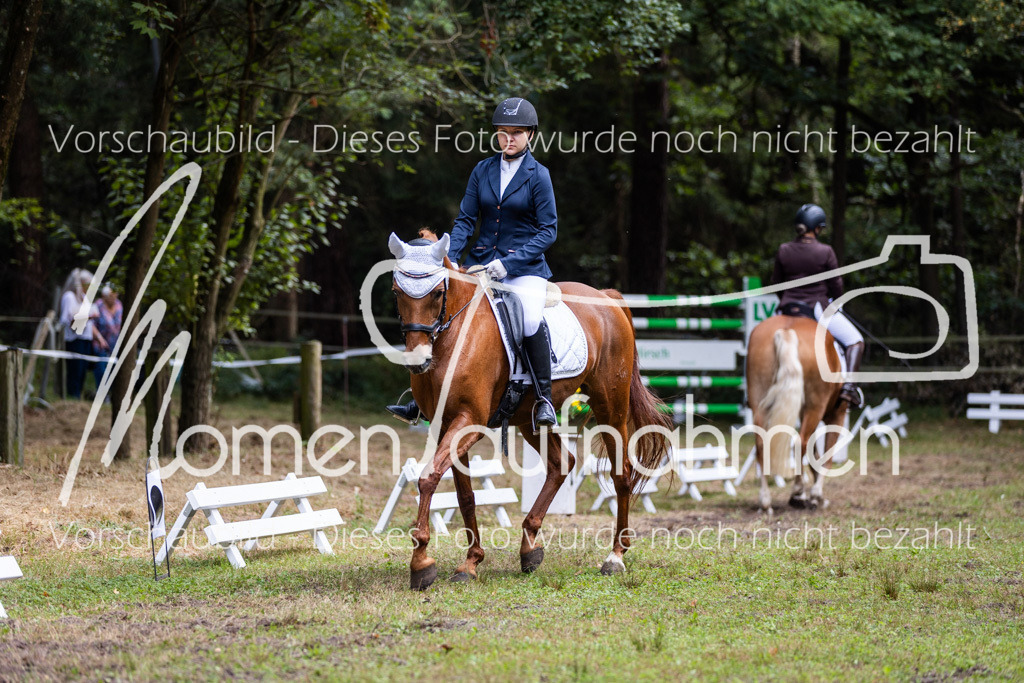 HB-Dressur-WB-067 | MomenTaufnahmen Pferdesportfotos