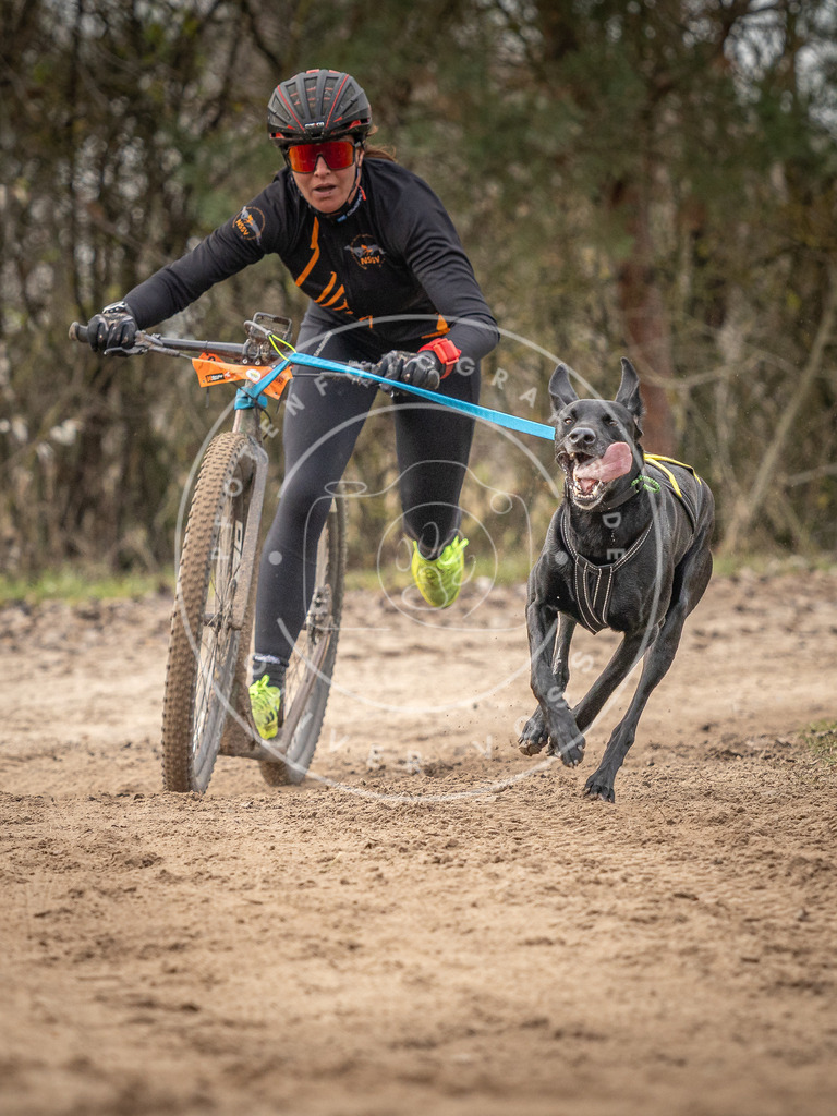 Pfotenfotografie_DV3A9175 | Hundefotografie, Tierfotograf, Pfotenfotografie, Fotoshooting Hund, Hunde Portrait, Hundesport, Hundeportraits, Heideshooting, Hunde, Sportfotograf, Hundefotograf, Turnierhundsport, THS,  - Realisiert mit Pictrs.com