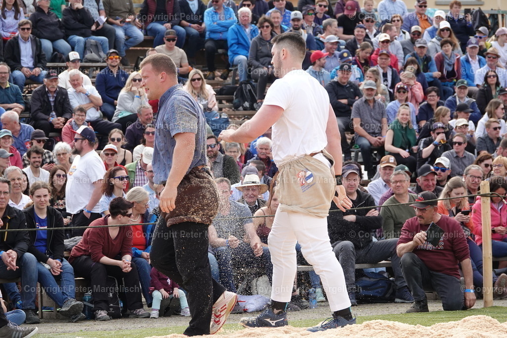 DSC03649 | Schwingen - Realisiert mit Pictrs.com