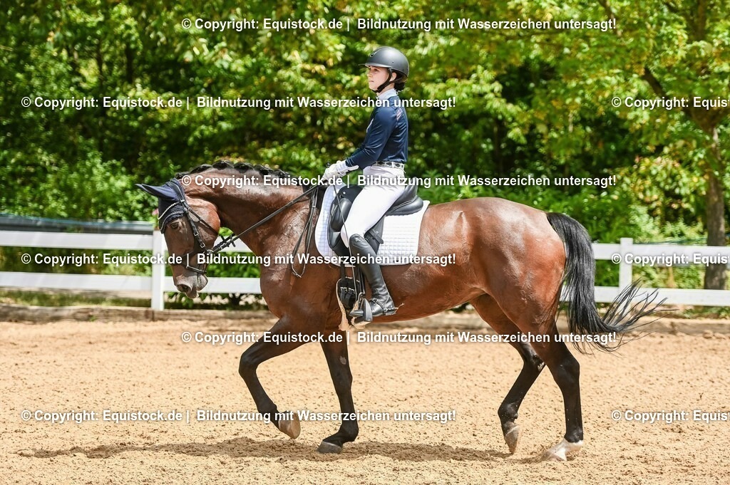 20230716_03_Dressurprfg. Kl.L - Tr._0260 | equistock