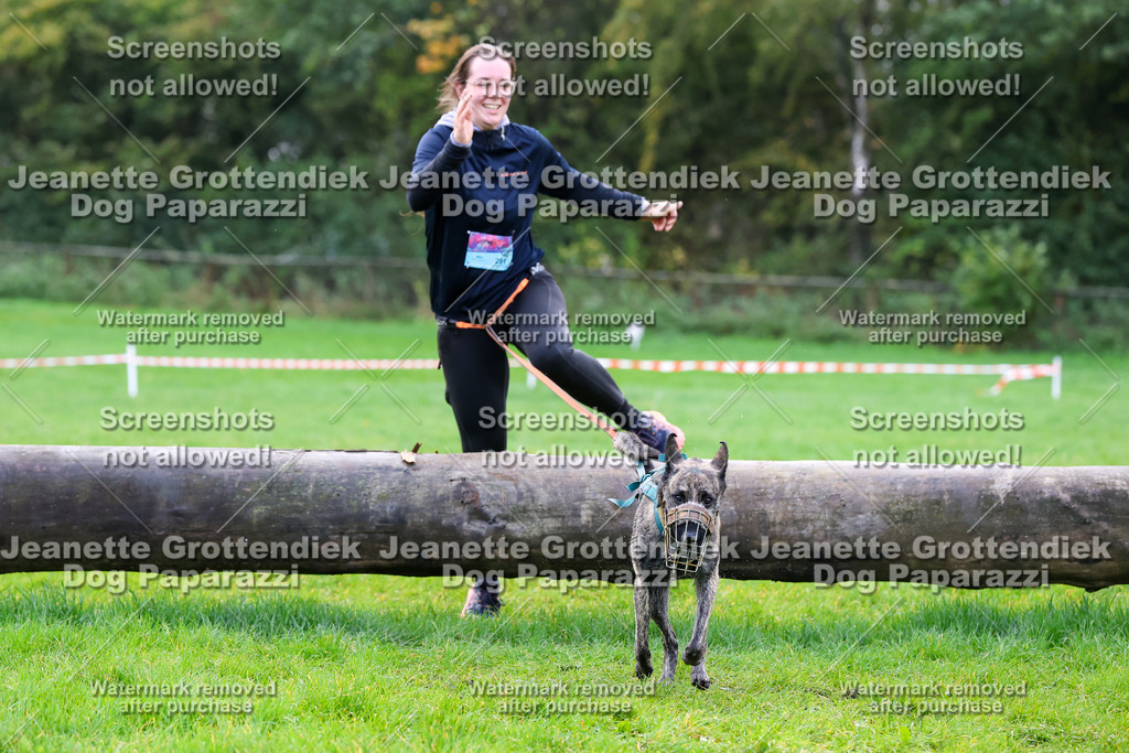 Dog Paparazzi -  SD1026-992 | Dog Paparazzi Jeanette Grottendiek Fotografie & Videografie - Realisiert mit Pictrs.com