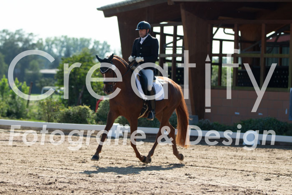 IMG_3118 | Creatify Fotografie