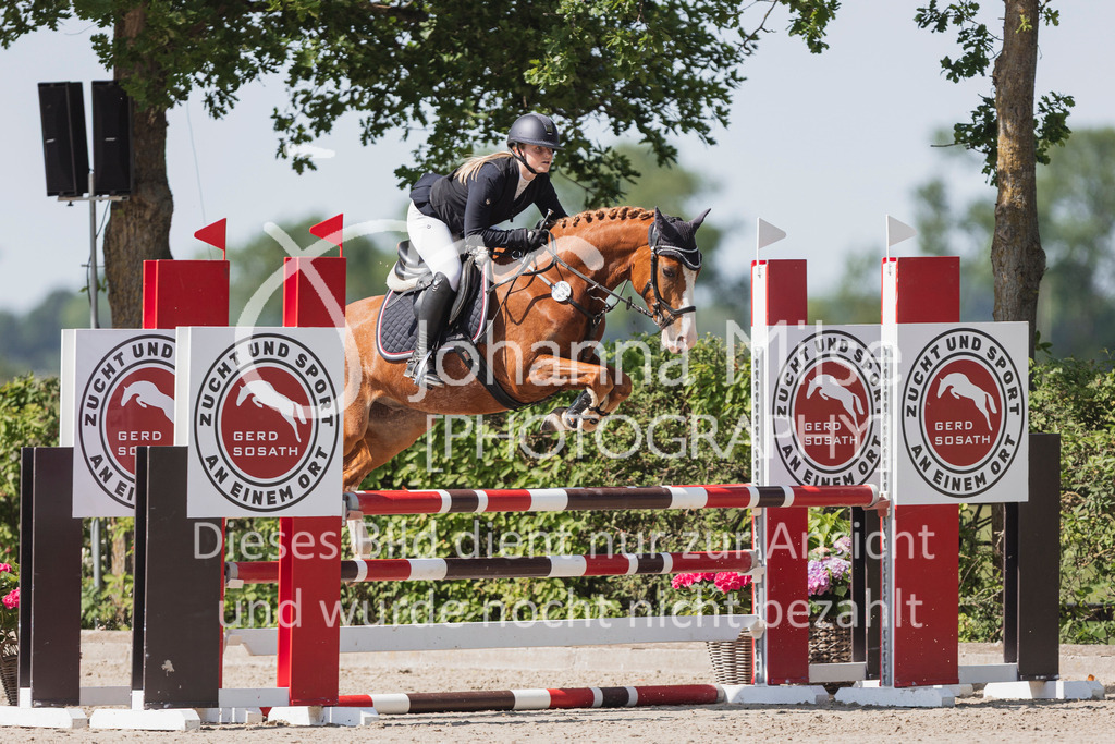 250621_Lemwerder_QualiBuChaPonys5-6-610 | Deine schönsten Turniermomente als professionelle Fotos! Entdecke hochwertige Pferdesport-Fotografie im Online-Shop. Jetzt Fotos finden & bestellen!