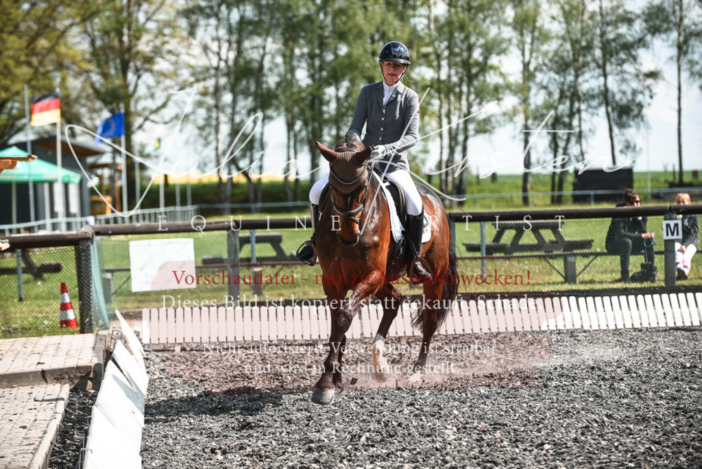 DSC_8956 | Pferde- und Turnierfotografie in Westsachsen. Pferdeportraits, Auftragszeichnungen und intuitive Kunst.