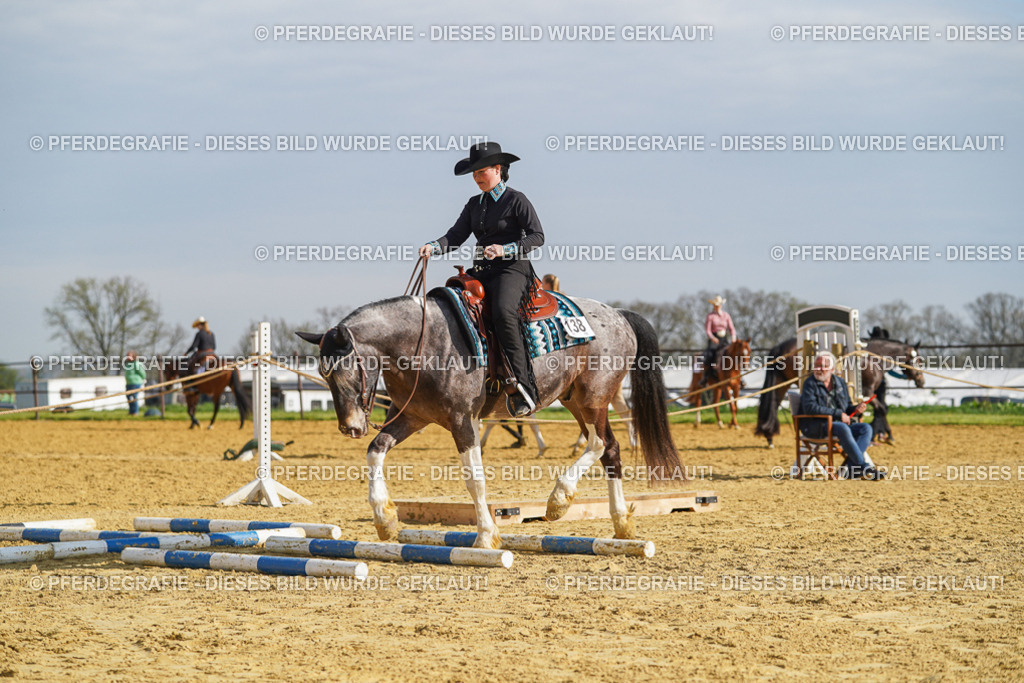 DSC01169 | Pferdegrafie