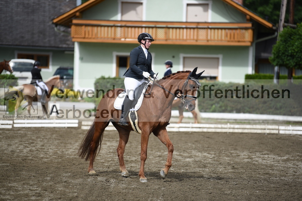 DSC_4938 | equestrian-live-com