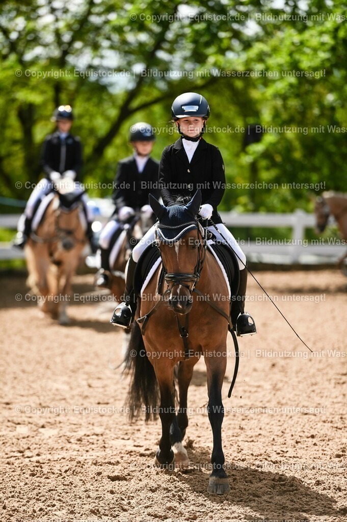 20230716_10-3_Reiter-WB Schritt - Trab - Galopp_0020 | equistock