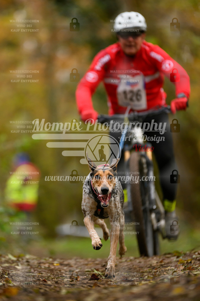 MompixPhotography_Bischwiller24_SA_VTT-55 | PayLife