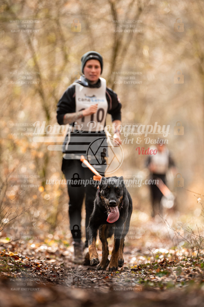 Reiat2023_SON_CaniXRun_5km_W-66 | PayLife