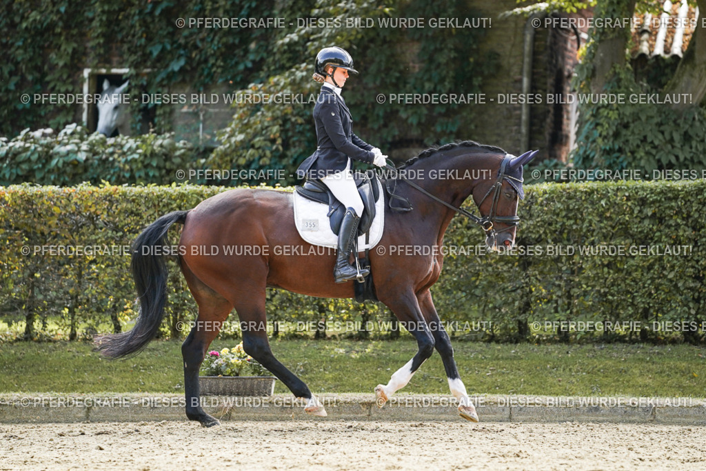 DSC08903 | Pferdegrafie