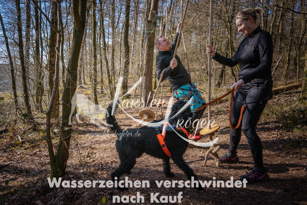 0951_ZZ90479 | kk-dogfotos