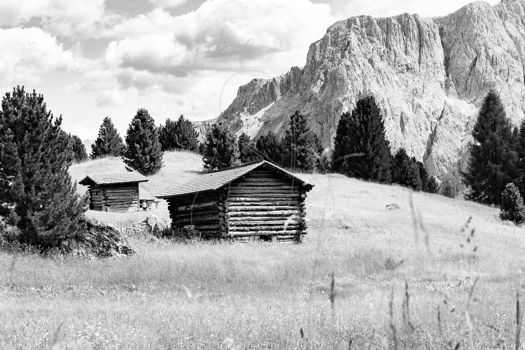 Dolomiten_Italia_Dolomiti_BW_schwarz_weiss_Mostdirn_Irmgard_Wieser-3577 | Ihre Fotografin im Lungau, ihre Fotografin im Mostviertel, Wandbilder Onlineshop, Imagefotos für Ihr Unternehmen,  - Realisiert mit Pictrs.com