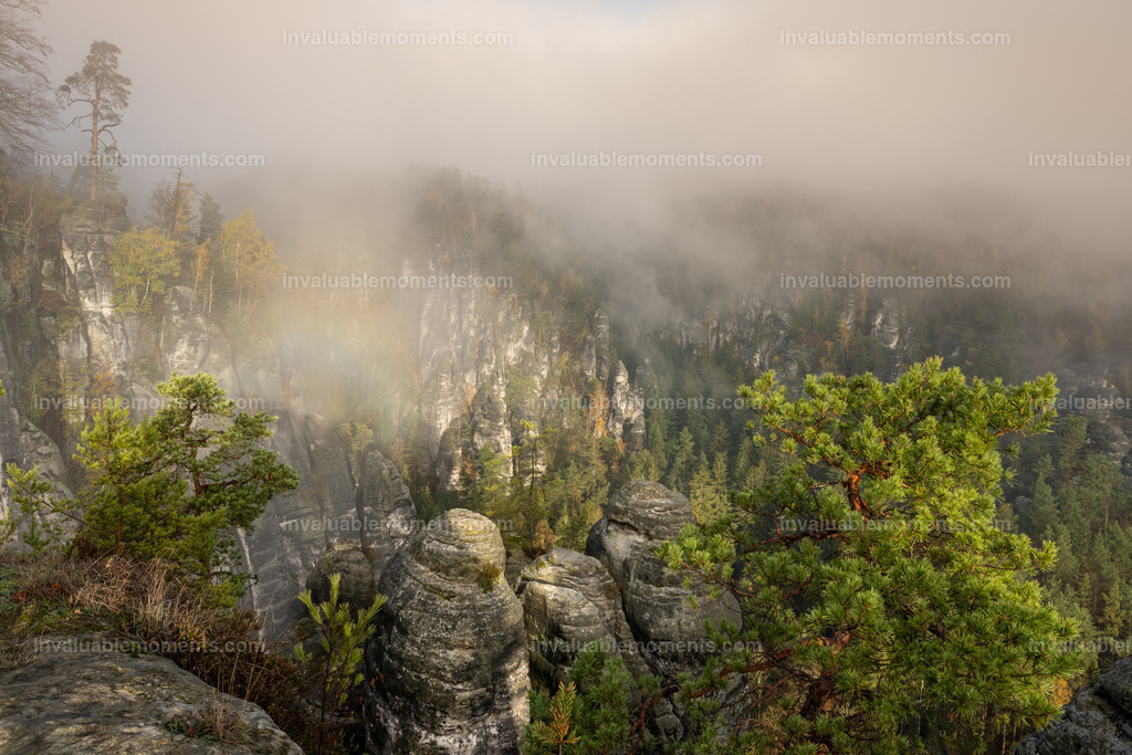 Regenbogen im Nebel | invaluablemoments.com - Realisiert mit Pictrs.com