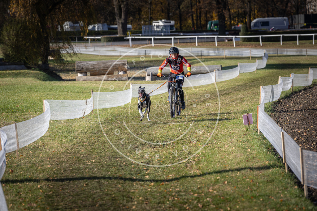 CaniXpix_DV3A4293 | Hundefotografie, Tierfotograf, Pfotenfotografie, Fotoshooting Hund, Hunde Portrait, Hundesport, Hundeportraits, Heideshooting, Hunde, Sportfotograf, Hundefotograf, Turnierhundsport, THS,  - Realisiert mit Pictrs.com