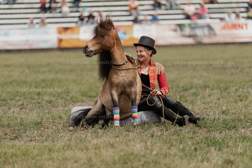 Showprogramm-247 | working equitationturnier fotograf videograf stoibphotography marixx film working equitation deutschland reitsport turnierfotografie eventfotografie equestrian events