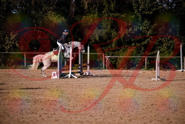2026_10_03_Siefer-Hof_155157_Z81_71291195 | Professionelle Reitsport-, Turnier- und Eventfotografie von Robert Broda. Galerien mit ausgewählten und bearbeiteten Bildern direkt online ansehen und bestellen.