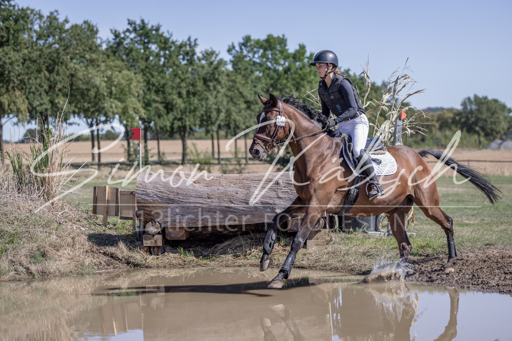 20260906-_3LI3608 | Tierfotografie Pferde, Hunde, Katzen, Haustiere.
Turnierfotografie Reitturniere, Reiten, Springreiten, Dressur in Hanau, dem Main-Kinzig-Kreis und dem Rhein-Main- Gebiet um Frankfurt