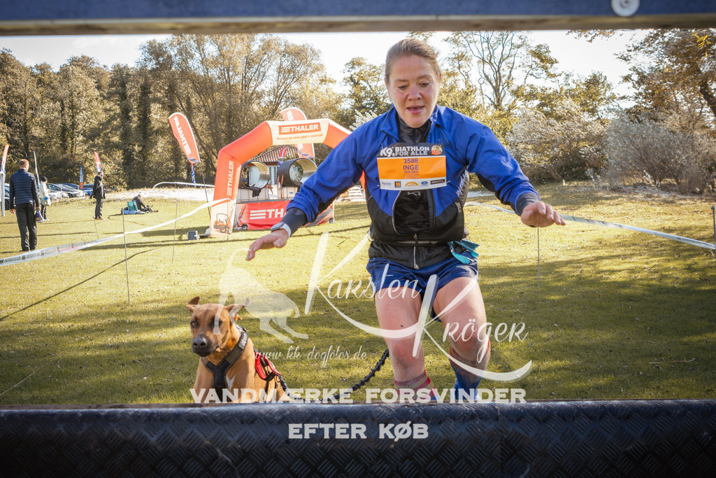 1228_ZZ96524-2 | kk-dogfotos