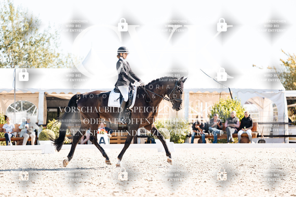 CK908960 | Turnierfotografie Pferdefotografie Trier Rheinland-Pfalz Pferdesport Reitsport Tierfotografie Sportfotografie Pferdevideo Pferdevideografie Equestrianvideography equestrianphotography  - Realisiert mit Pictrs.com
