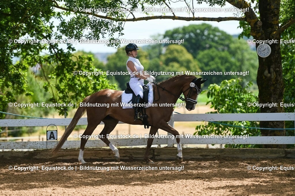 20230716_03_Dressurprfg. Kl.L - Tr._0527 | equistock