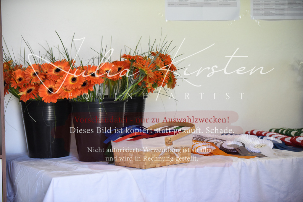 DSC_2344 | Pferde- und Turnierfotografie in Westsachsen. Pferdeportraits, Auftragszeichnungen und intuitive Kunst.