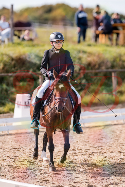 2026_10_03_Siefer-Hof_122317_Z81_23524493 | Professionelle Reitsport-, Turnier- und Eventfotografie von Robert Broda. Galerien mit ausgewählten und bearbeiteten Bildern direkt online ansehen und bestellen.