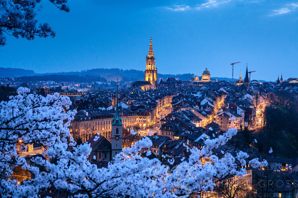 view from Rosengarten over the historic center of Bern during cherry blossom in spring | Die ideale Geschenkidee für Naturliebhaber. Naturbilder von Marcel Gross Photography für ihr Zuhause in den verschiedensten Formaten und Materialien. - Realisiert mit Pictrs.com