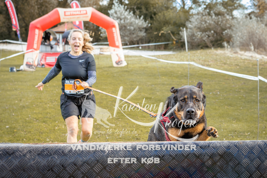 1411_ZZ93619-2 | kk-dogfotos