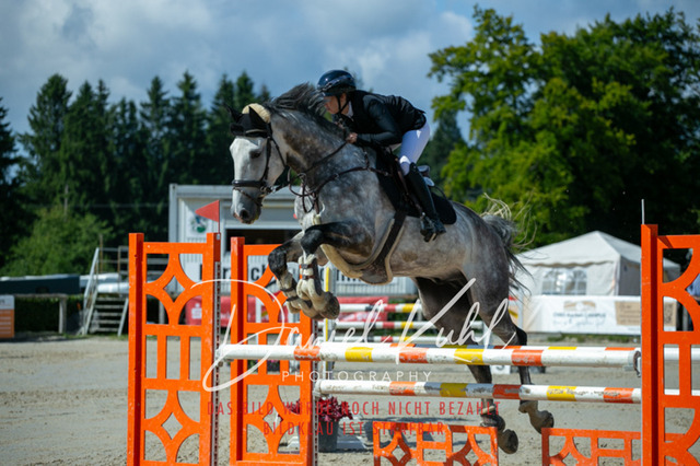 IMG_5444 | Turniersportfotografie; Pferdefotografie; Dressurfotografie