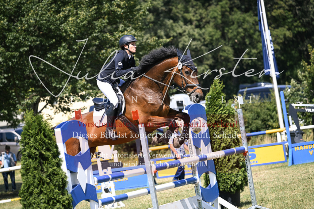 DSC_0184 | Pferde- und Turnierfotografie in Westsachsen. Pferdeportraits, Auftragszeichnungen und intuitive Kunst.