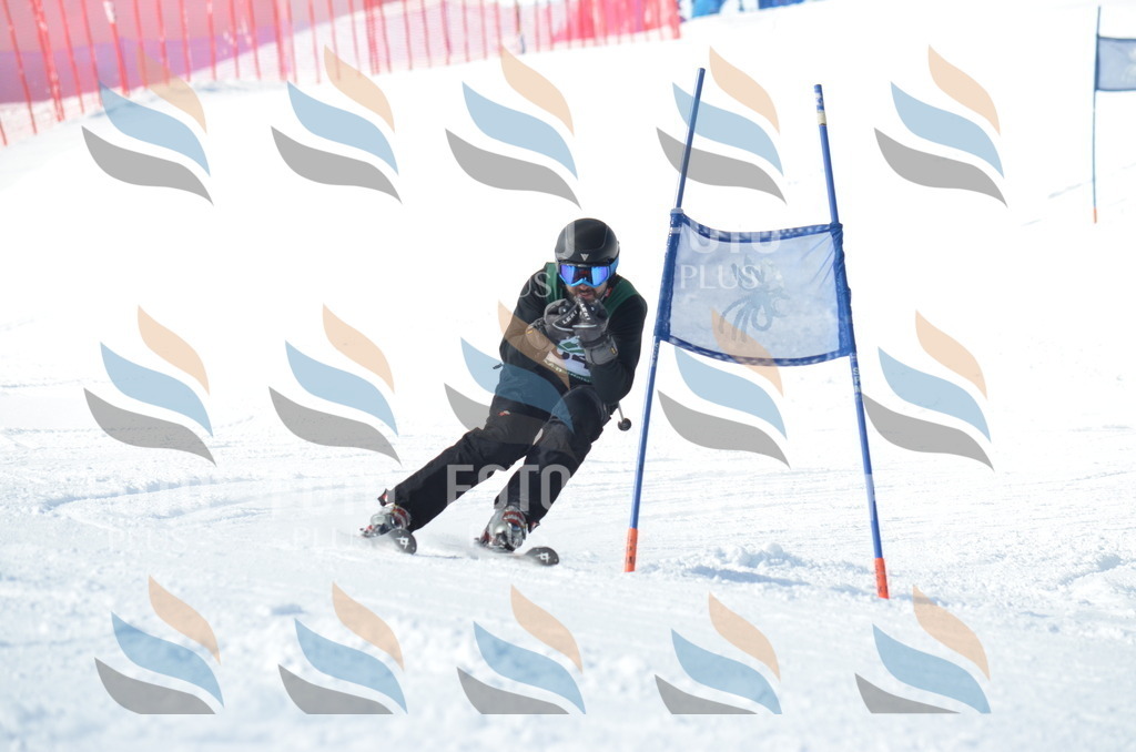 D9037 | holidayphoto