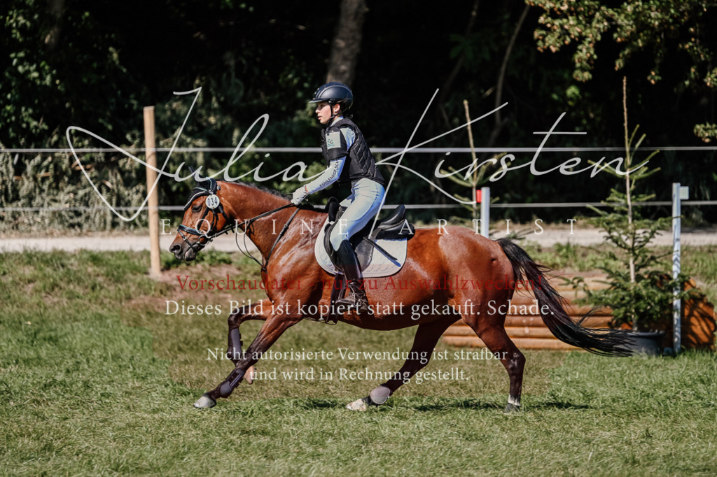 DSC_2833 | Pferde- und Turnierfotografie in Westsachsen. Pferdeportraits, Auftragszeichnungen und intuitive Kunst.
