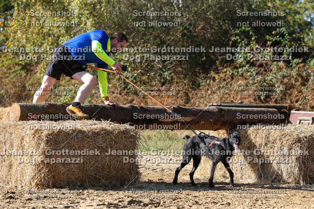 Dog Paparazzi - Strongdog 10-25-2889 | Dog Paparazzi Jeanette Grottendiek Fotografie & Videografie - Realisiert mit Pictrs.com