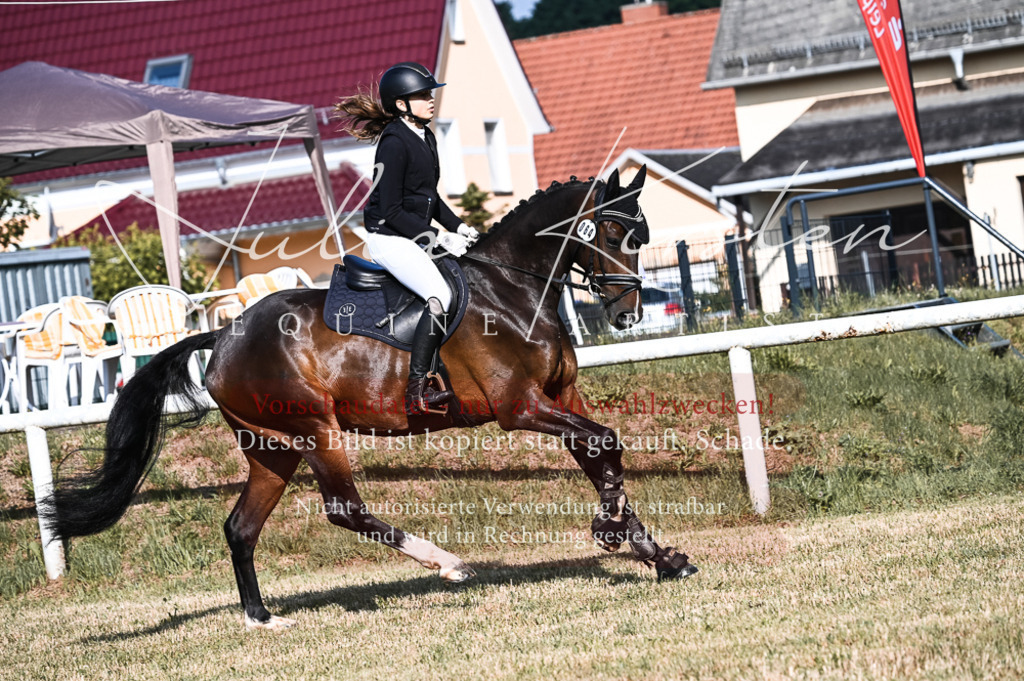 DSC_7577 | Pferde- und Turnierfotografie in Westsachsen. Pferdeportraits, Auftragszeichnungen und intuitive Kunst.