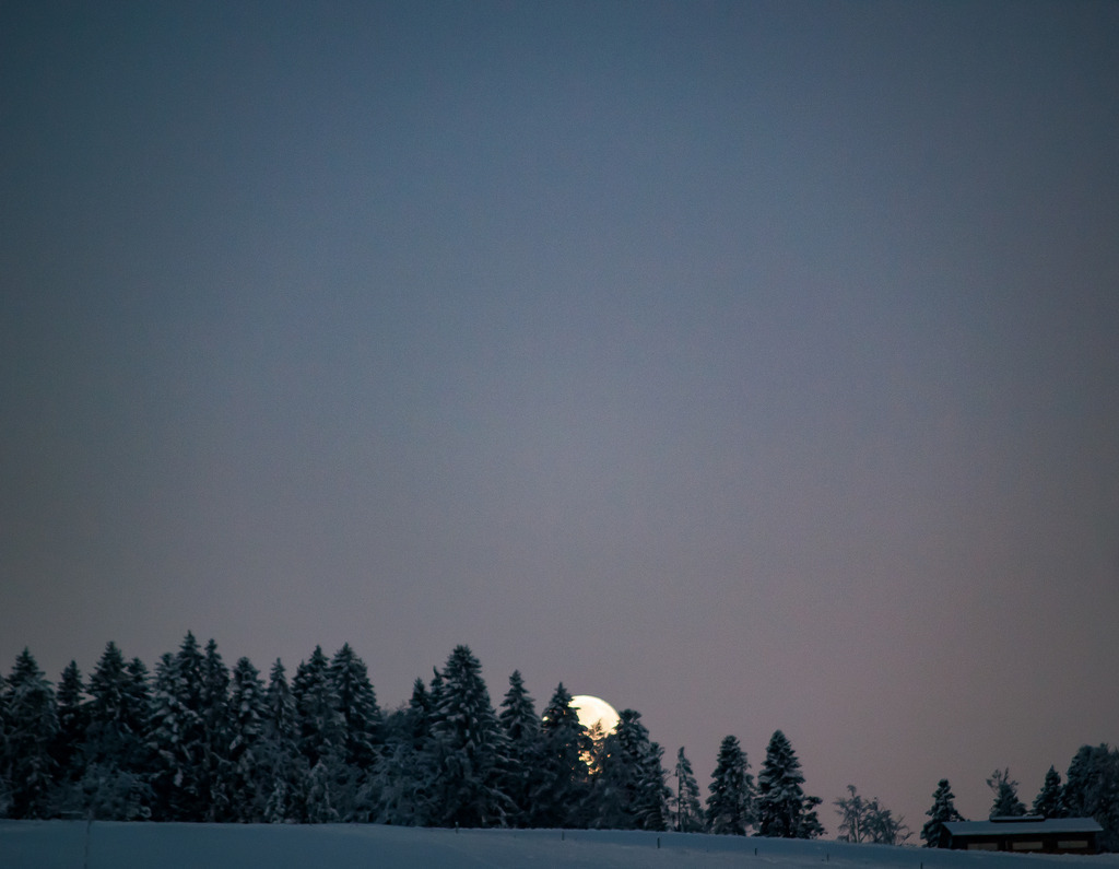 PSX_20230207_232837 | OLYMPUS DIGITAL CAMERA - Realisiert mit Pictrs.com