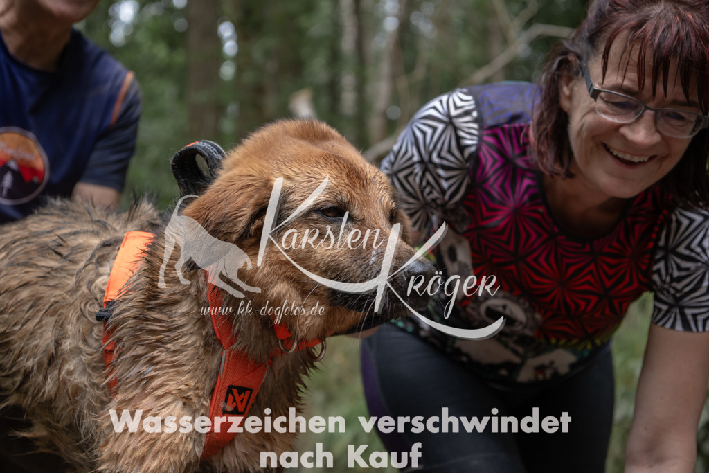 1335_ZZ94851 | kk-dogfotos