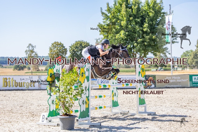 26-7-25 Pony L-138 | mandyhollmannphotographie