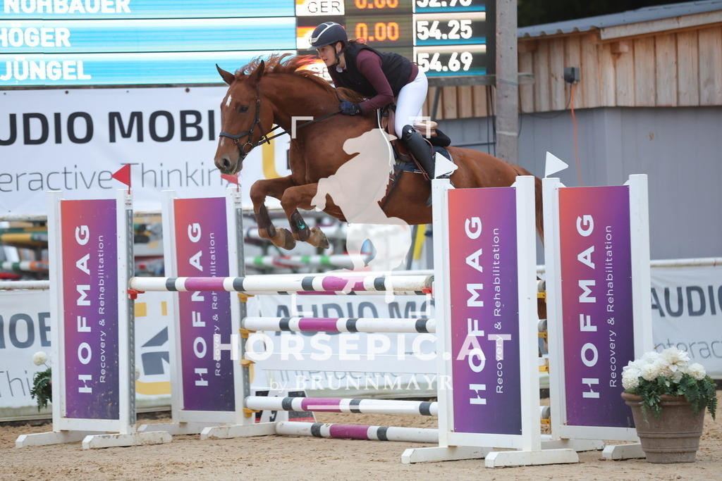0P6A5343 | Willkommen bei Brunnmayr - Design & Fotografie – Ihrem Spezialisten für Reitturniere und Pferdeveranstaltungen in Oberösterreich, Salzburg und Bayern! Seit über 17 Jahren sind wir leidenschaftlich dabei.
