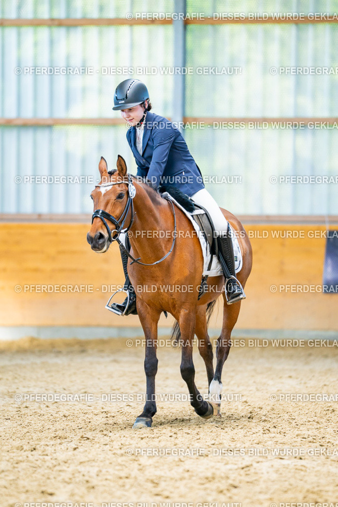 DSC07997 | Pferdegrafie