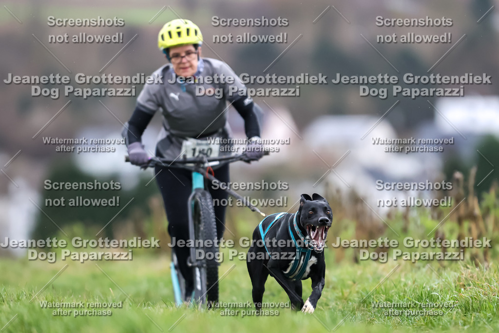Dog Paparazzi - Herkules Race  2025-34 | Dog Paparazzi Jeanette Grottendiek Fotografie & Videografie