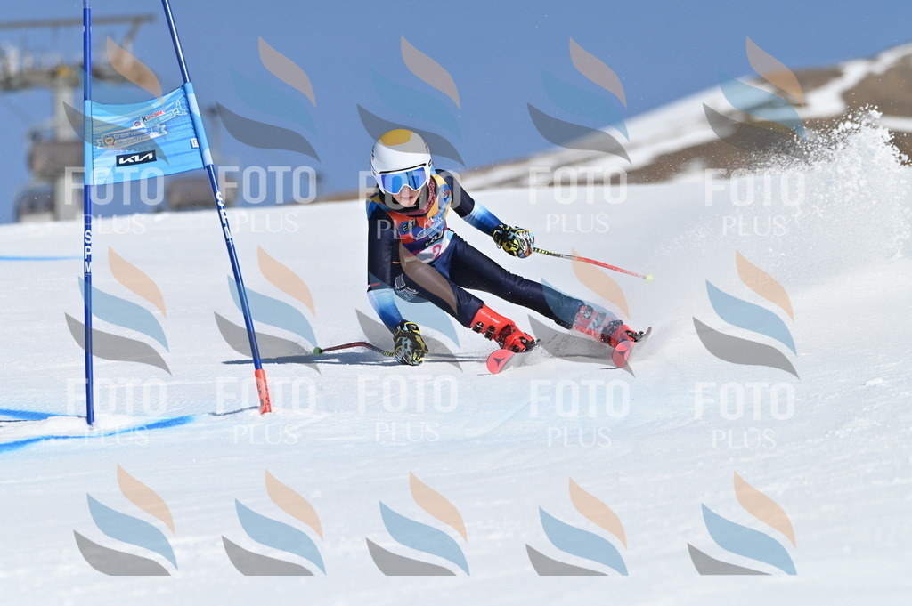 BGV_7598 | holidayphoto