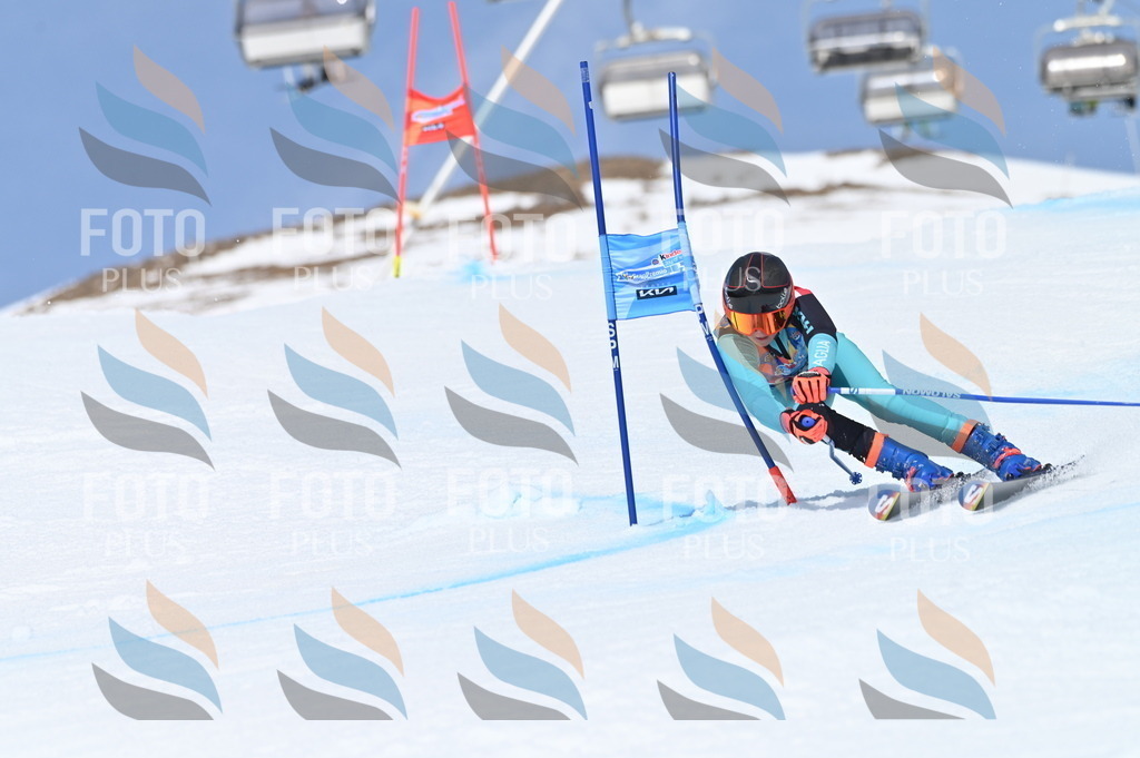 BGV_3042 | holidayphoto