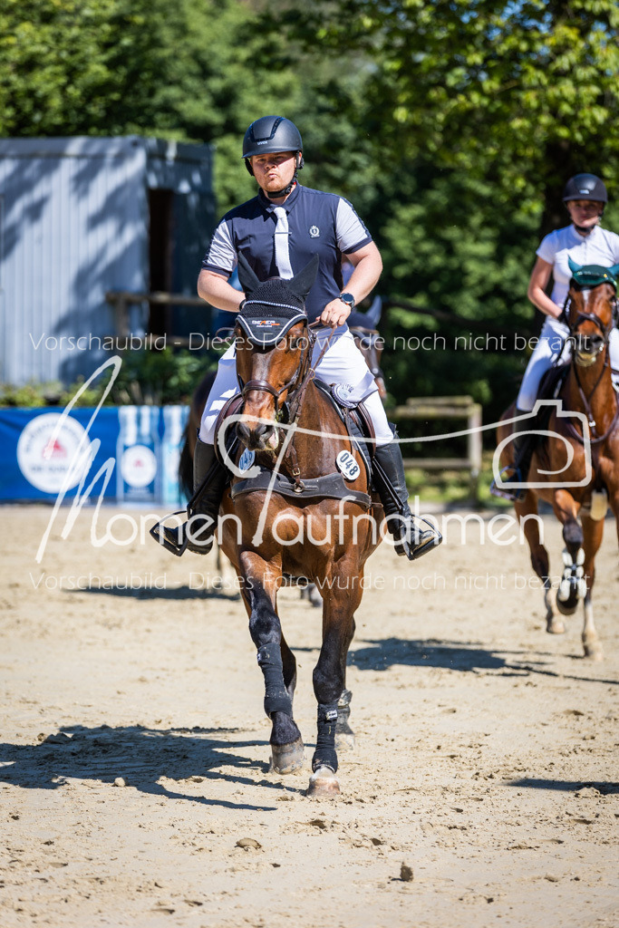 Donop24-M-Spr-101 | MomenTaufnahmen Pferdesportfotos