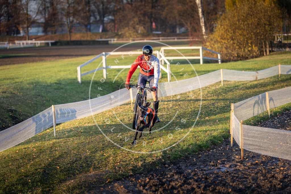 CaniXpix_DV3A9652 | Hundefotografie, Tierfotograf, Pfotenfotografie, Fotoshooting Hund, Hunde Portrait, Hundesport, Hundeportraits, Heideshooting, Hunde, Sportfotograf, Hundefotograf, Turnierhundsport, THS,  - Realisiert mit Pictrs.com