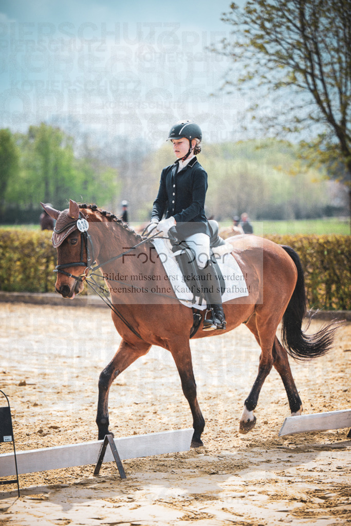 DOS_6180 | Entdecke hochwertige Reitturnierfotos von Foto Oger. Professionell, emotional und authentisch – jetzt Lieblingsmomente im Shop bestellen.Deutschlandweite Turnierfotografie. - Realisiert mit Pictrs.com