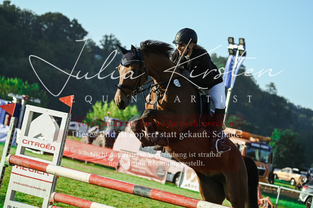 DSC_3917 | Pferde- und Turnierfotografie in Westsachsen. Pferdeportraits, Auftragszeichnungen und intuitive Kunst.
